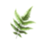 image 122