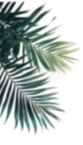 image 148 image 148