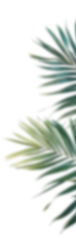 image 56 image 56