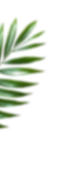 image 59