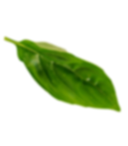 leaf-3 (2) leaf-3 (2)