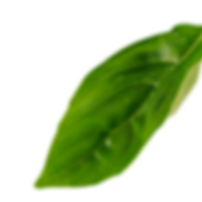 leaf-3 (3) leaf-3 (3)
