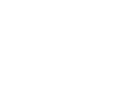 white 4