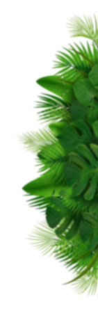 image 121