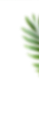 image 122 (1)