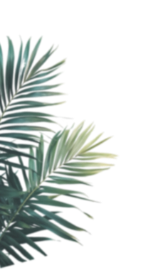 image 56