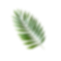 image 122